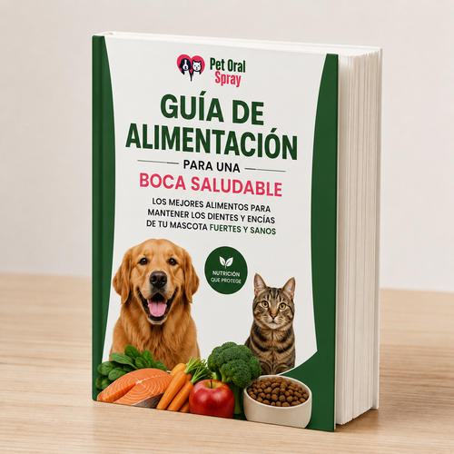 Ebook Guia de Alimentación