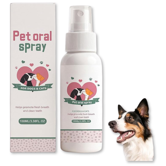 PetPuddle - Cuidado profesional desde casa.